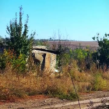 Доброе утро.