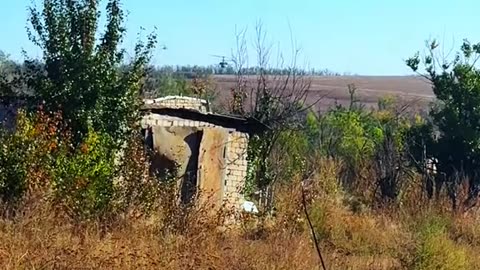 Доброе утро.