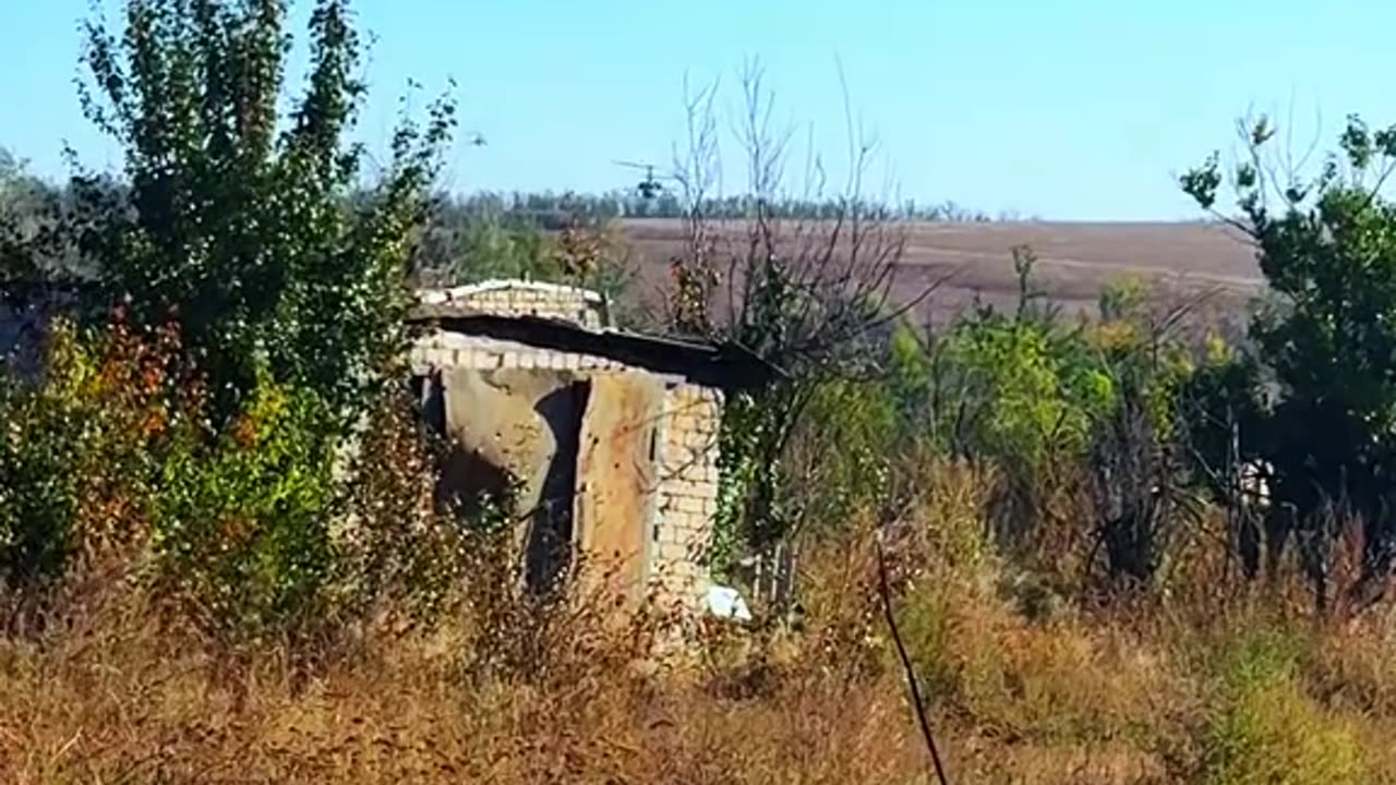Доброе утро.