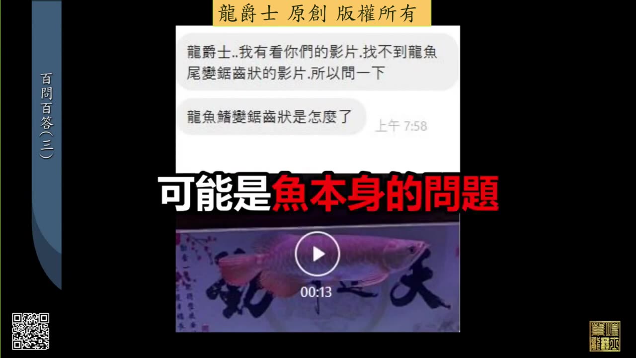 【龍爵士】千問千答 Q22 龍魚的鰭變成鋸齒狀是怎麼了