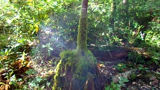 Cold weather camping 11/21-23/25 Video 10: