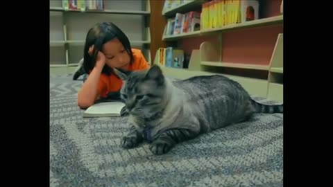 This politician tried to fire a cat