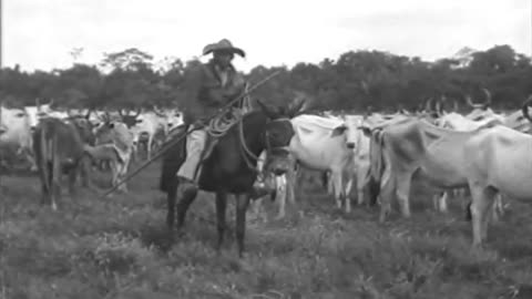 [RUBBER FOR AMERICA] - [RUBBER FOR AMERICA] - fc-fc-4702