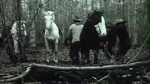THE ABERNATHY KIDS' RESCUE (Pathé-1911) NEW English subtitles.