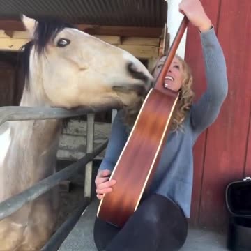 Musical act duet style