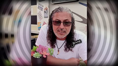 Narcissist Chronicles