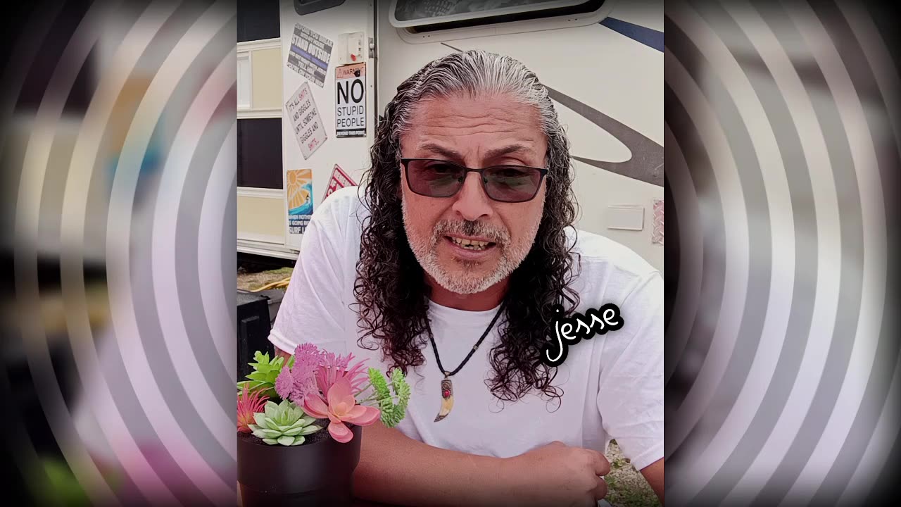 Narcissist Chronicles