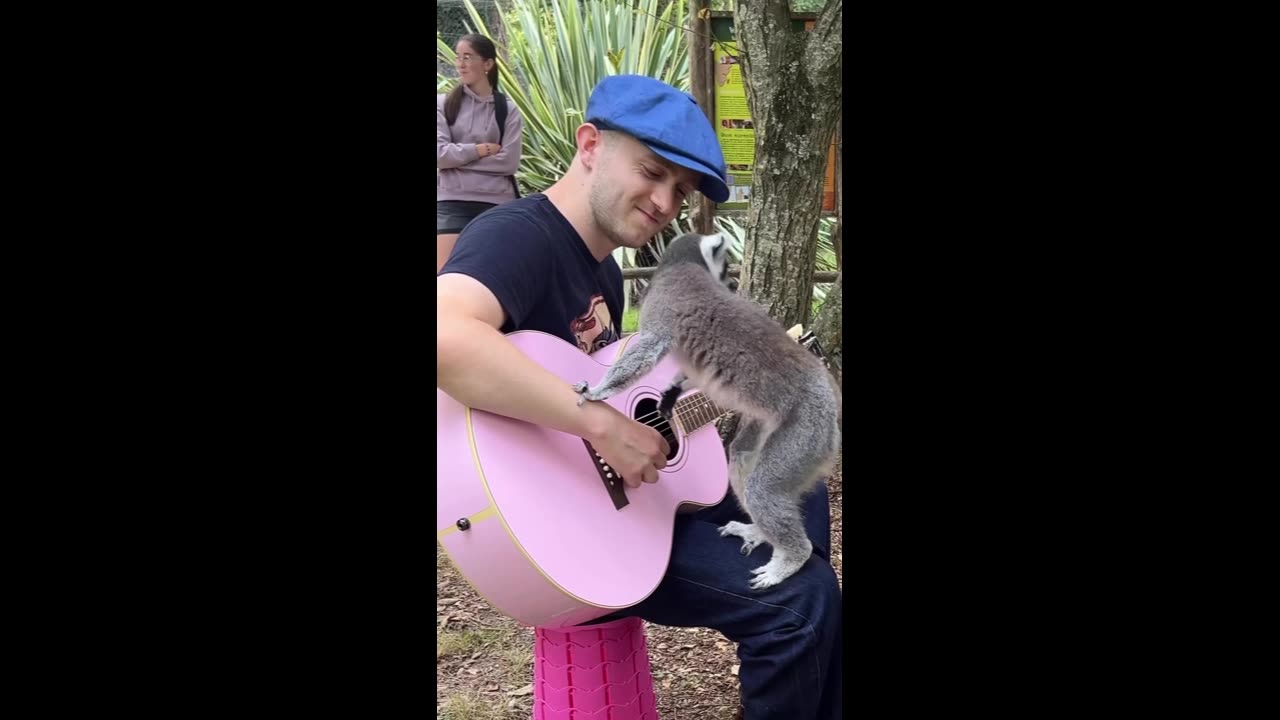 Musikk er et universelt språk, forstått av både mennesker og dyr