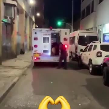 A dog was running after the ambulance that was carrying their owner