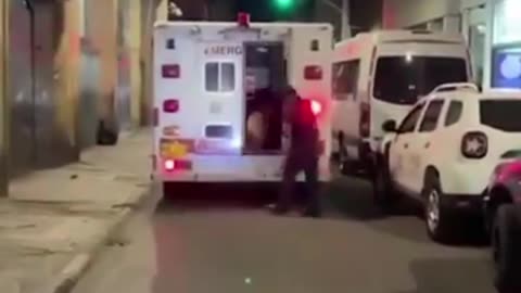 A dog was running after the ambulance that was carrying their owner