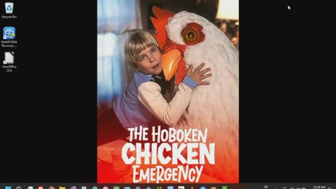 The Hoboken Chicken Emergency Review