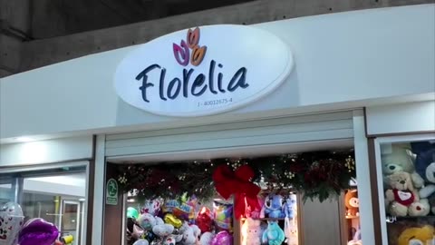 GTN en Español Vlog: Mi salida de Caracas