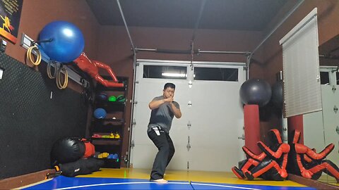 WTD 2 Step Kick Combination 193