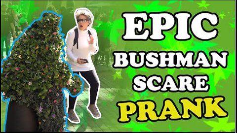 best prank video 2024 | bush prank | hostages funny reactions