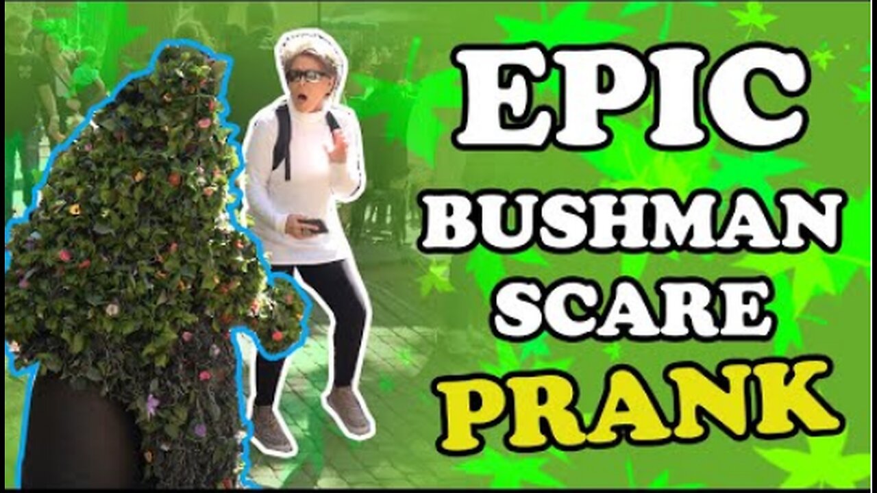 best prank video 2024 | bush prank | hostages funny reactions