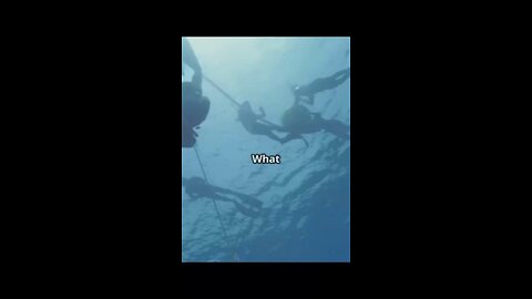 What happen if you fell into the deepest part of the ocean