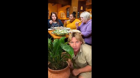 Steve Irwin at Olive Garden