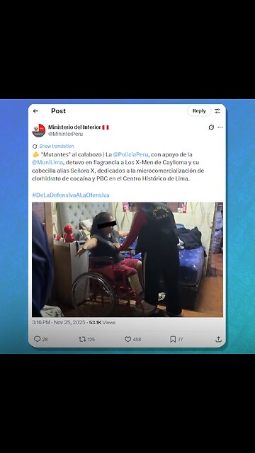 🚔Policía desmantela una banda liderada por una mujer en silla de ruedas