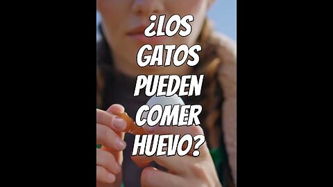 los-gatos-pueden-comer-huevo ?