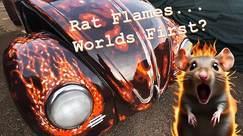 Rat Look Flame Art Wings on Aircooled VW, I've never seen it done before!