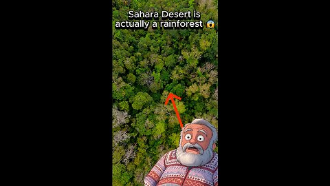 The Sahara Desert Used to Be a Rainforest… What?!