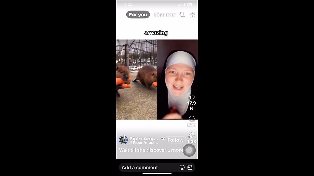 A beaver and Two carrots 🥕