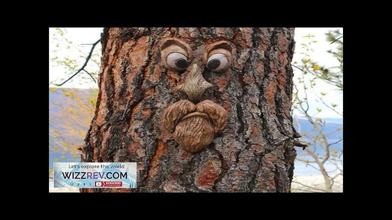 Bark Ghost Face Facial Features Old Man Tree Decorat Yard Art Decorations Review