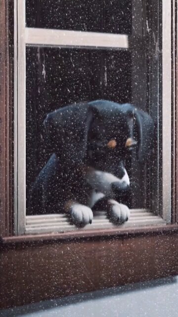 When the rain falls, even the bravest hearts feel a little blue. 🌧️🐾