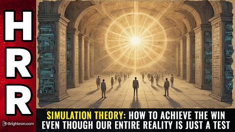 SIMULATION THEORY - How to achieve the WIN...