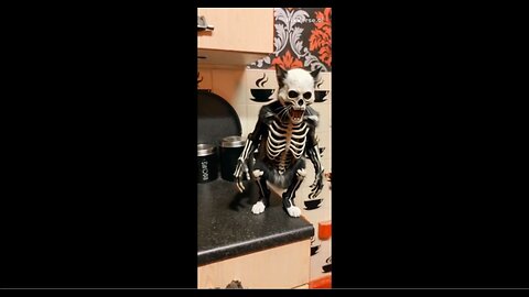 RIO 😺 TRIES ON A VERY COOL😎 LOOKING SKELETON OUTFIT & THEN WALKS TOWARDS CAMERA SHOWING HOW IT LOOKS