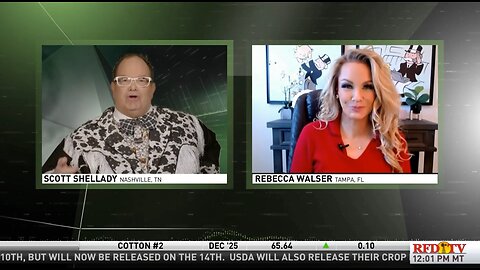 Government Shutdown and Air Travel