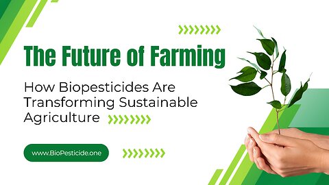 The Future of Farming How Biopesticides Are Transforming