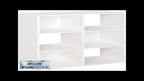 ClosetMaid 8996 Cubeicals Organizer 6-Cube White Review