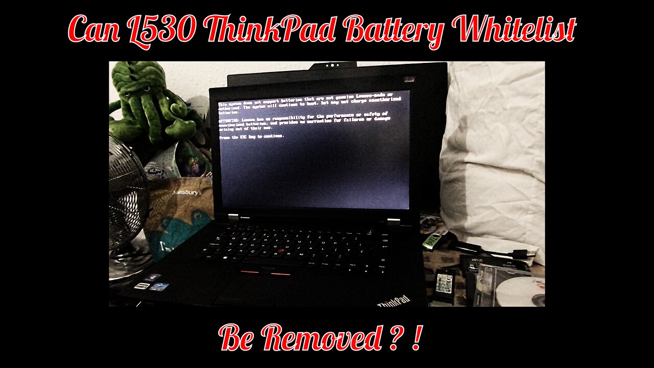 Can An L530 ThinkPad Battery Whitelist be Removed ? !