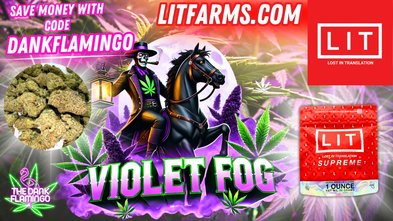 Trying Violet Fog Supreme from Lit Farms! The Dank Flamingo Review!!