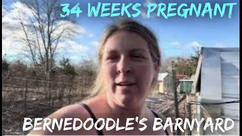 Homesteading While Pregnant (3rd Trimester) VLOG#052