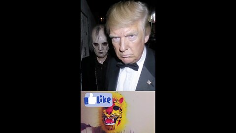 Mr trump