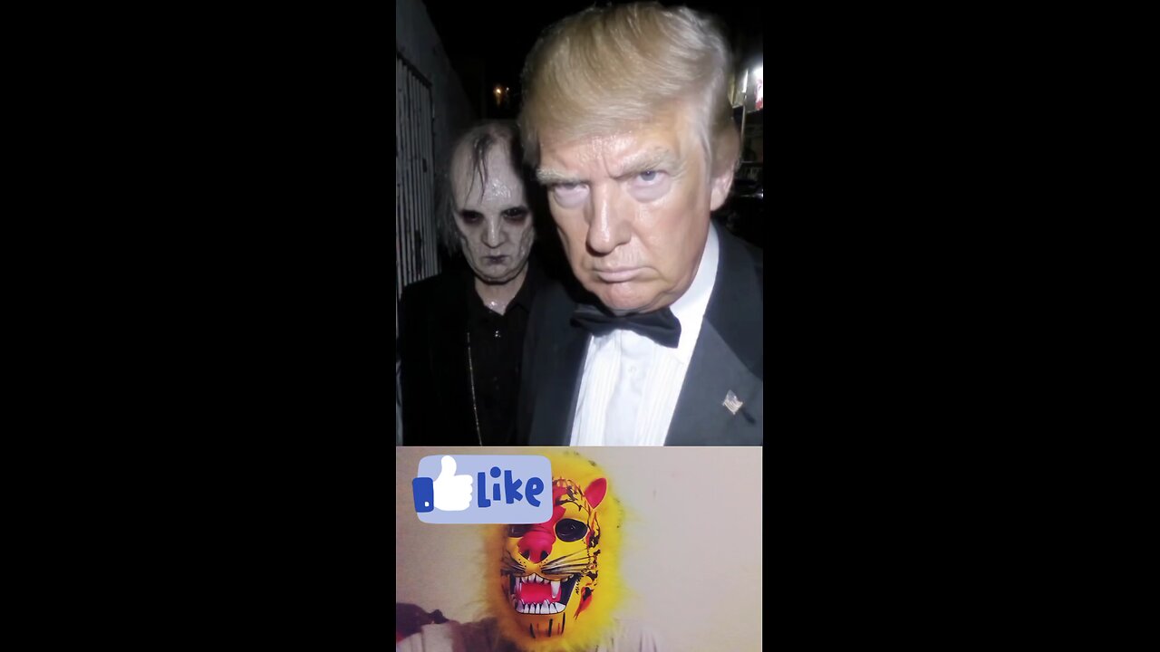Mr trump