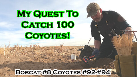 One Last Push! Bobcat #8 Coyotes #92-#94 | S5 Ep 20