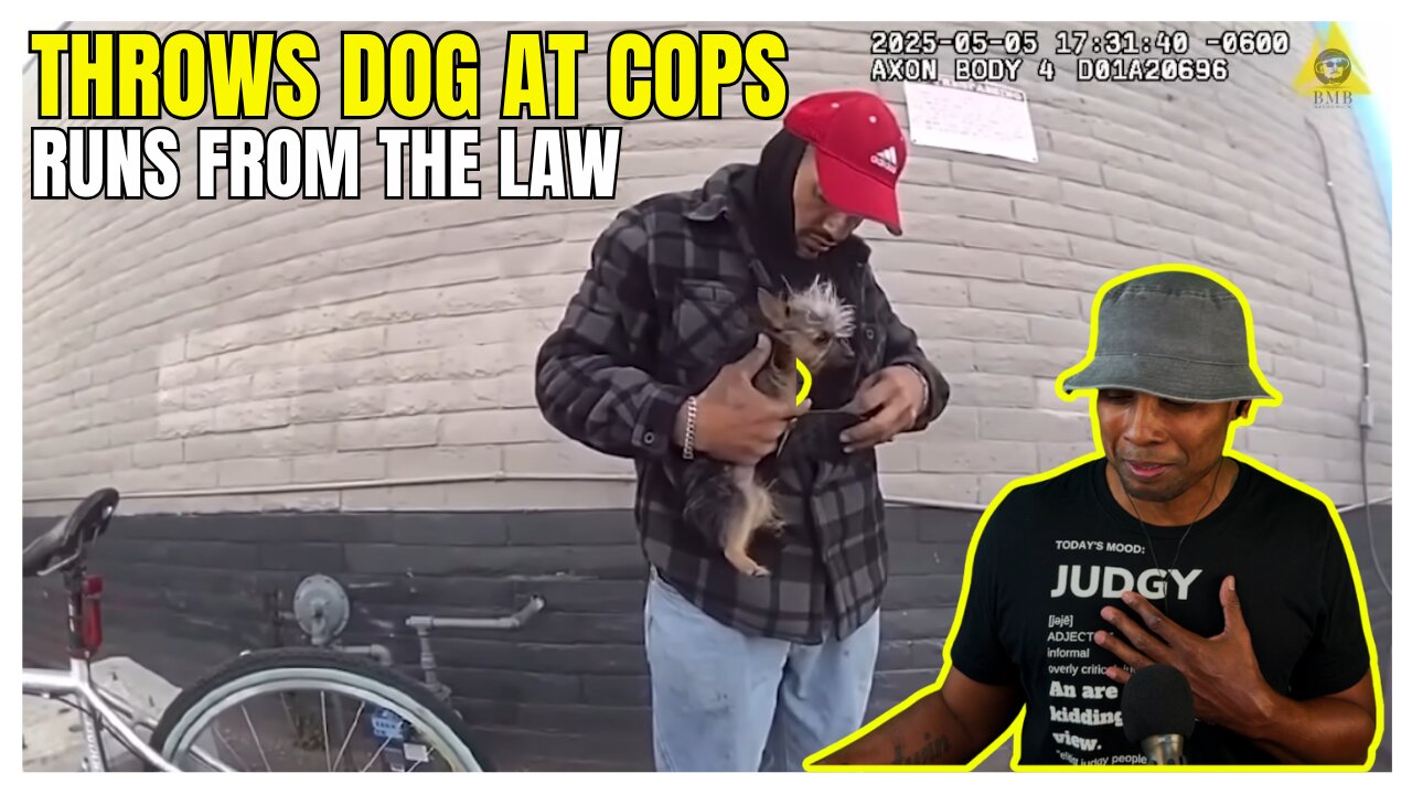 Suspect's Desperate DOG Toss: Flees Cops, Holds Woman HOSTAGE | Yorkie Safe!