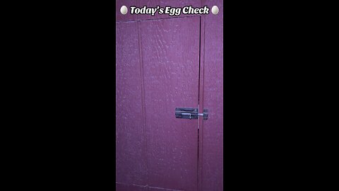 🥚 Saturday’s Egg Check! 🥚