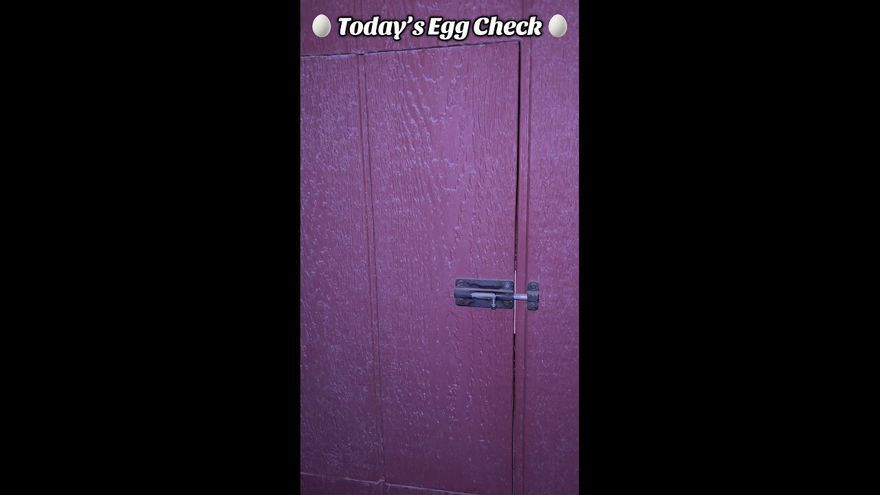 🥚 Saturday’s Egg Check! 🥚