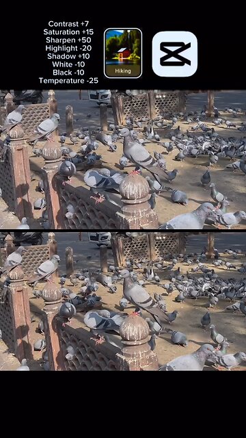 #CapCut Colour Edit part 5 🌿👻🤭 Jimid Kayed #foryou #Viral #trending #funny #Viralvideo