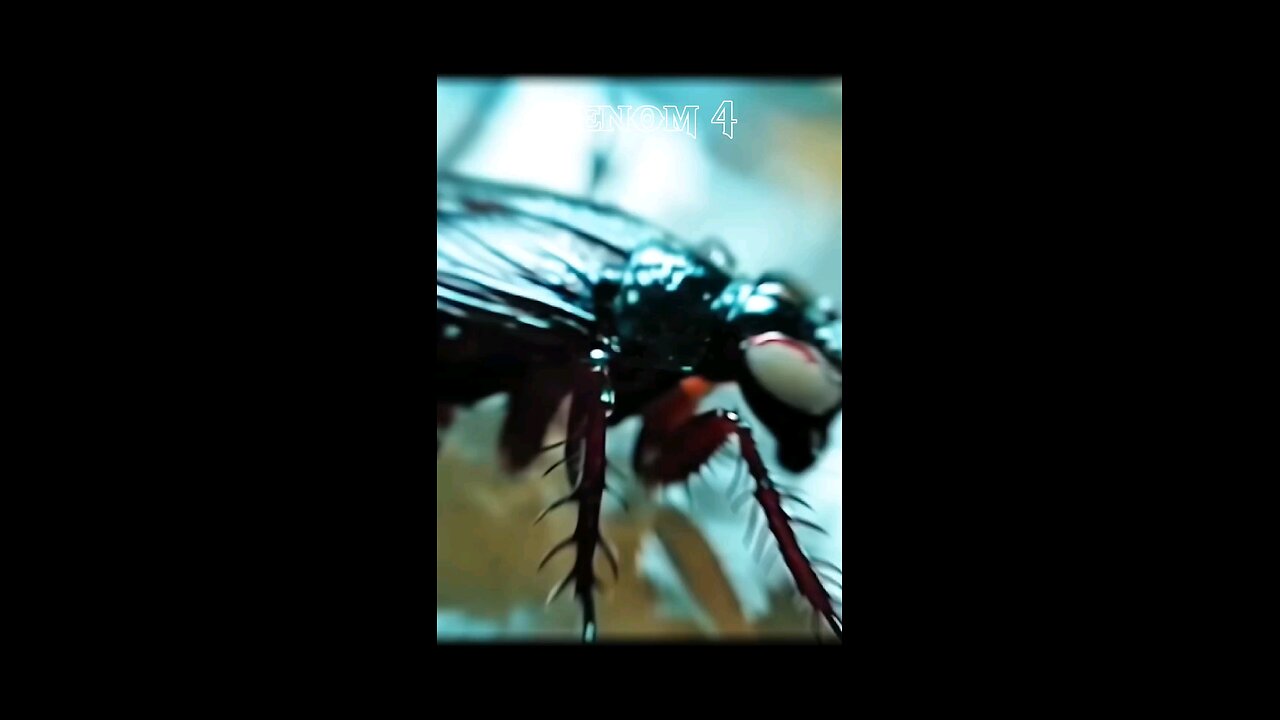 Venom transformation cocros | #shorts #marvel