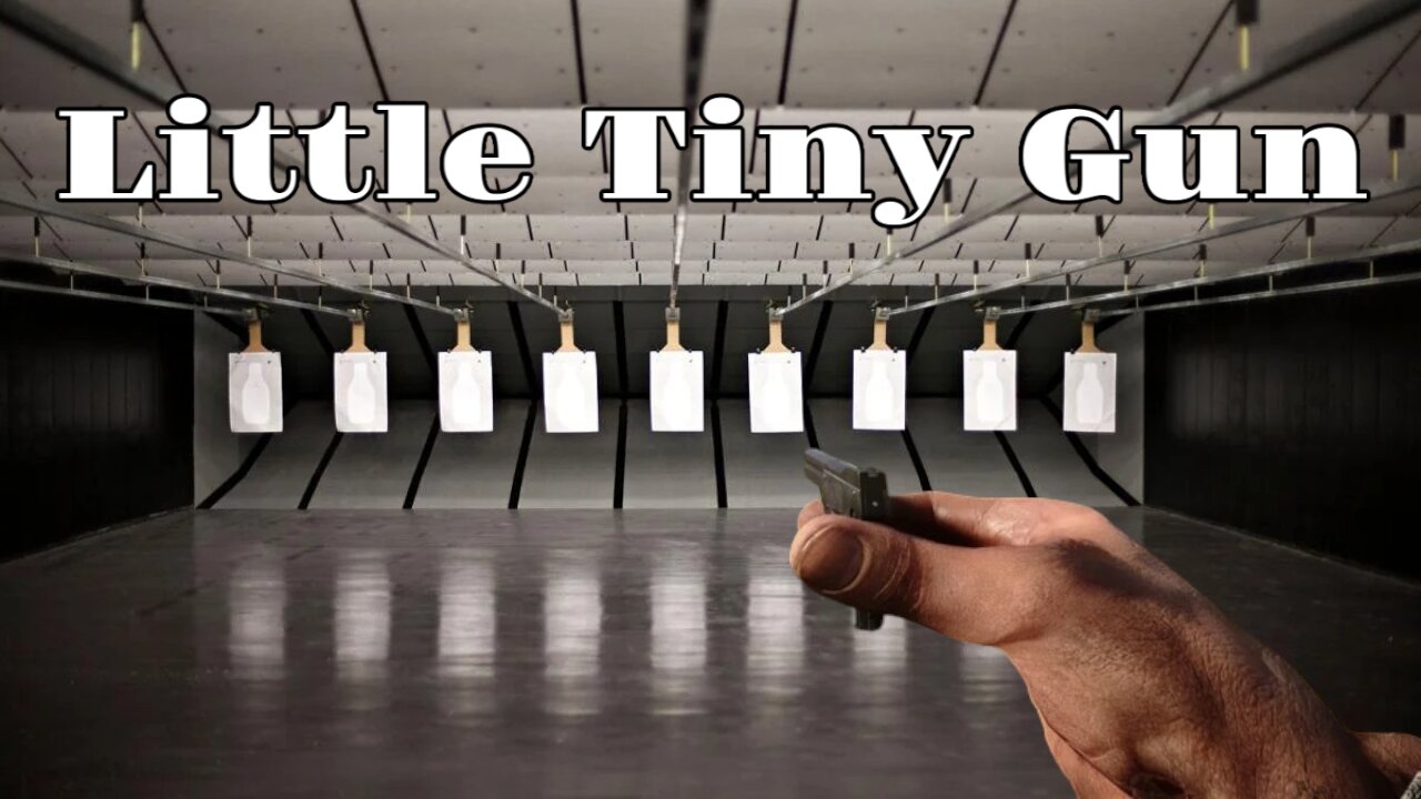 Seecamp .32 Pistol VS Seecamp .380 Pistol Review
