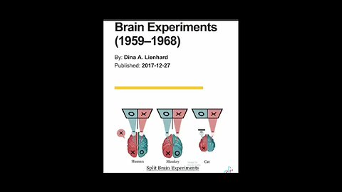 LEFT BRAIN RIGHT BRAIN