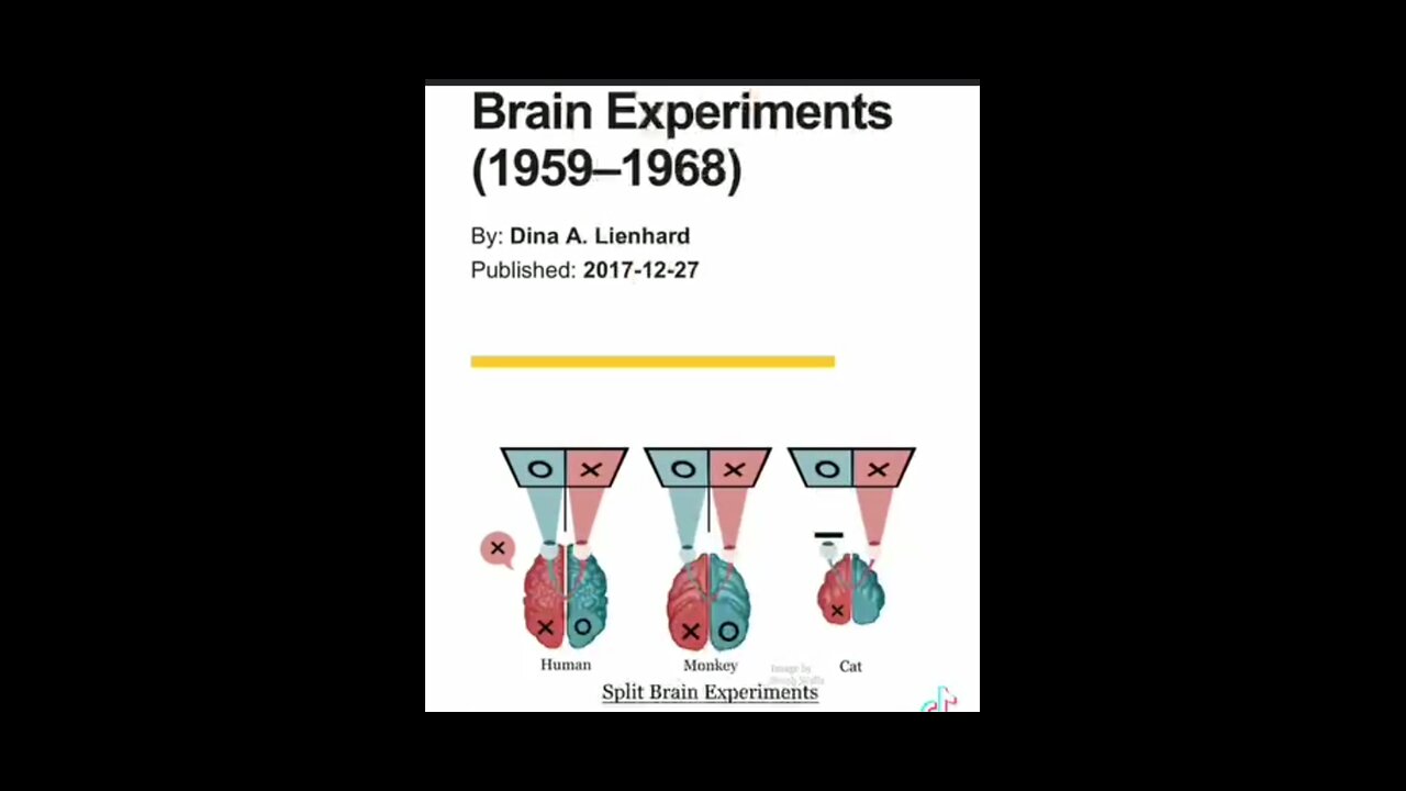 LEFT BRAIN RIGHT BRAIN