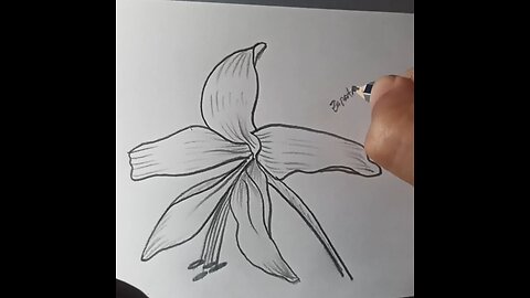 How to draw a flower