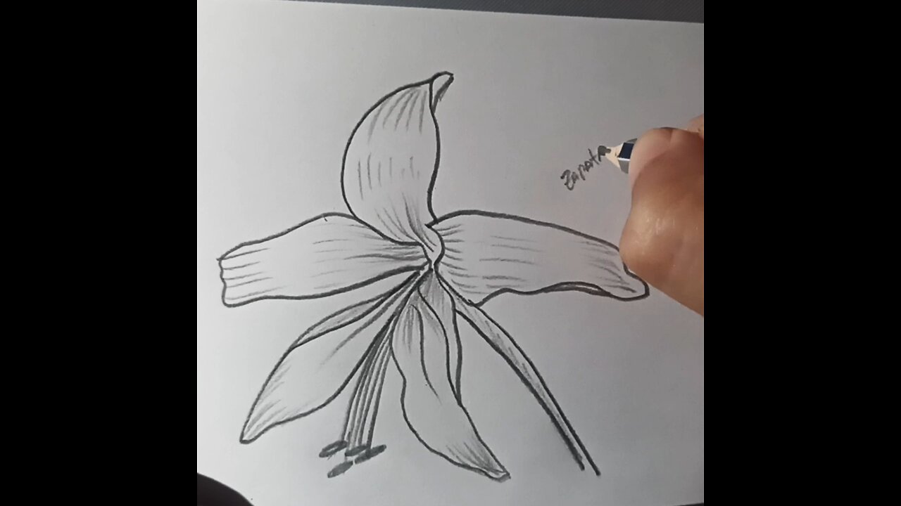How to draw a flower