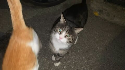 Which one of you two will eat first?